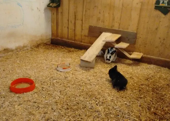 Apartmán Iris Aich (Styria)